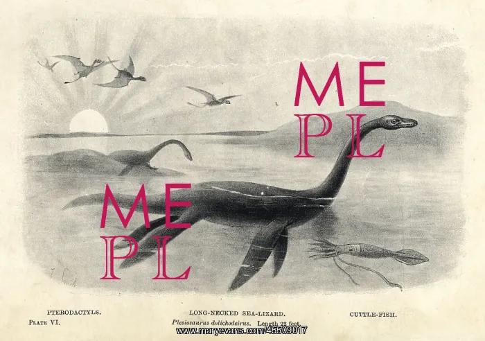 : Plesiosaurus dolichodeirus with cuttlefish and pterodactyls : Plesiosaurus dolichodeirus with cuttlefish and pterodactyls