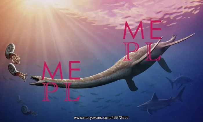 : Plesiosaurus dolichodeirus hunting ammonites : Plesiosaurus dolichodeirus hunting ammonites