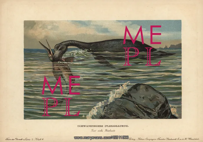 : Plesiosaurus, extinct genus of marine sauropterygian : Plesiosaurus, extinct genus of marine sauropterygian