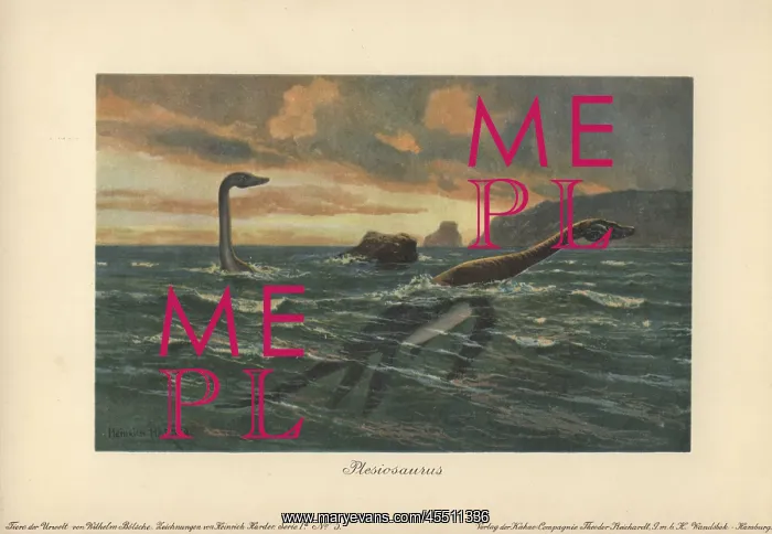 : Plesiosaurus, large marine sauropterygian reptile : Plesiosaurus, large marine sauropterygian reptile