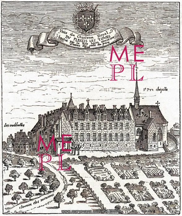 : PLESSIS LES TOURS : PLESSIS LES TOURS