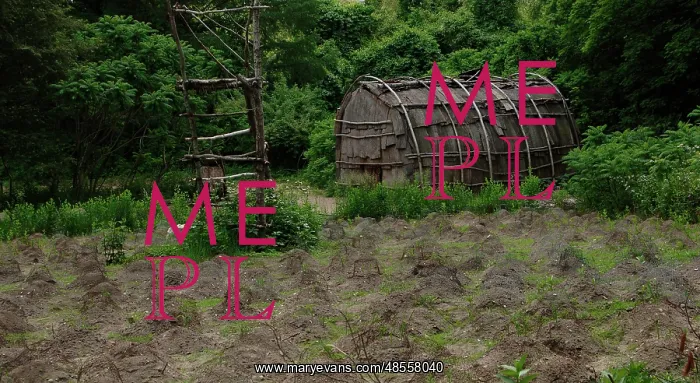 : Plimoth Plantation or Historical Museum. Hut. Plymouth. Mass : Plimoth Plantation or Historical Museum. Hut. Plymouth. Mass