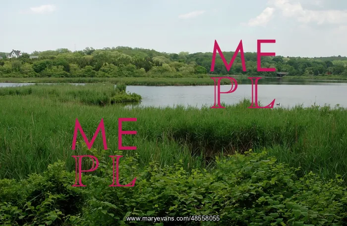 : Plimoth Plantation or Historical Museum. Eel river estuary : Plimoth Plantation or Historical Museum. Eel river estuary