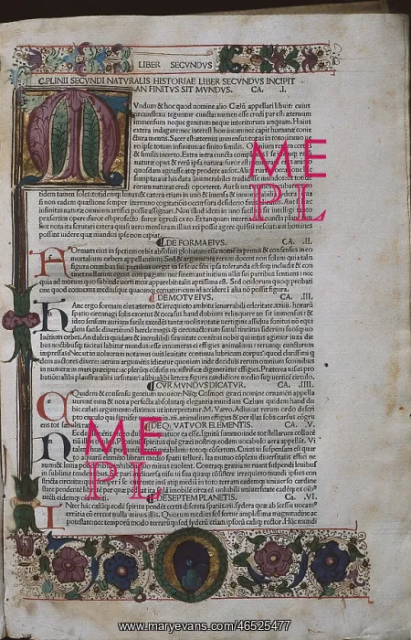  : Pliny The Elder (23-79)