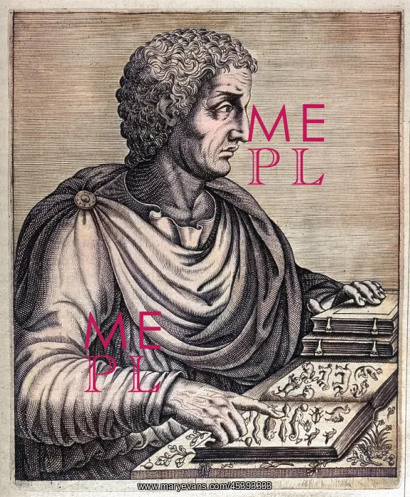 : Pliny the elder : Pliny the elder