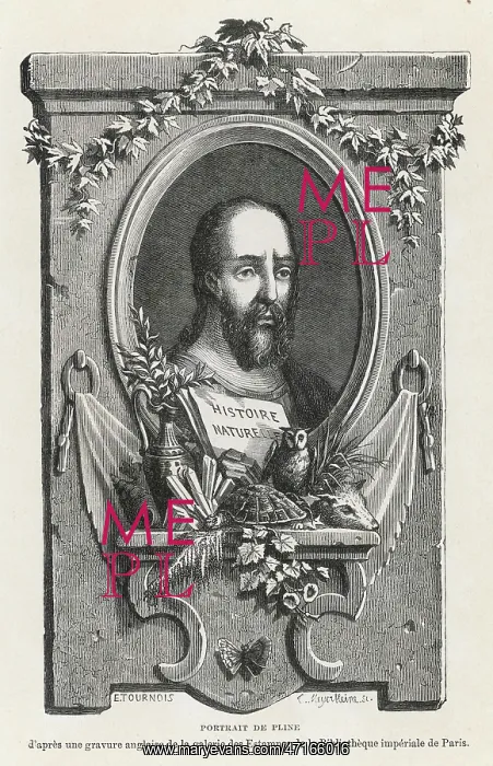  : Pliny the elder
