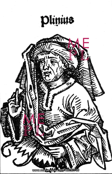 : Pliny the Elder, Gaius Plinius Secundus, 23 - : Pliny the Elder, Gaius Plinius Secundus, 23 -