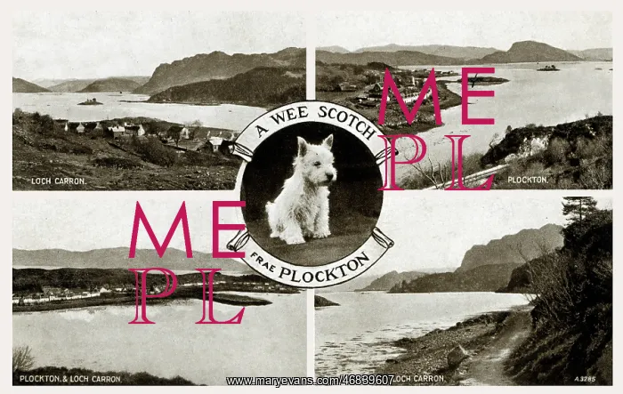  : Plockton and Loch Carron