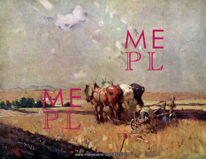 : The Plough : The Plough