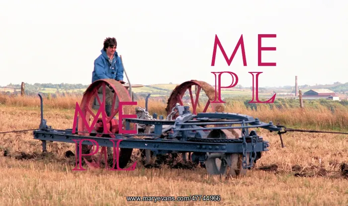 : Plough for a Fowler Ploughing Engine combo in action : Plough for a Fowler Ploughing Engine combo in action