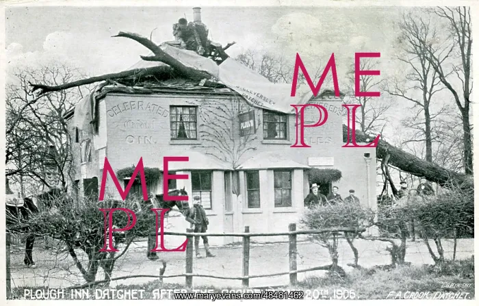 : Plough Inn, Datchet, Berkshire : Plough Inn, Datchet, Berkshire