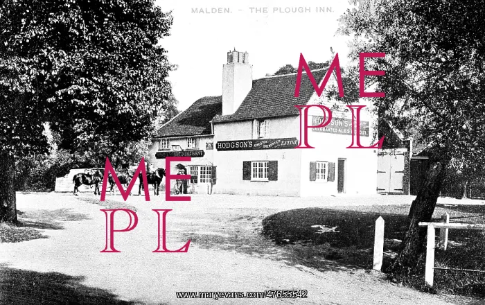  : Plough Inn, Old Malden, Worcester Park, SW London (Surrey)