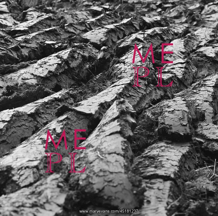 : Ploughed field : Ploughed field