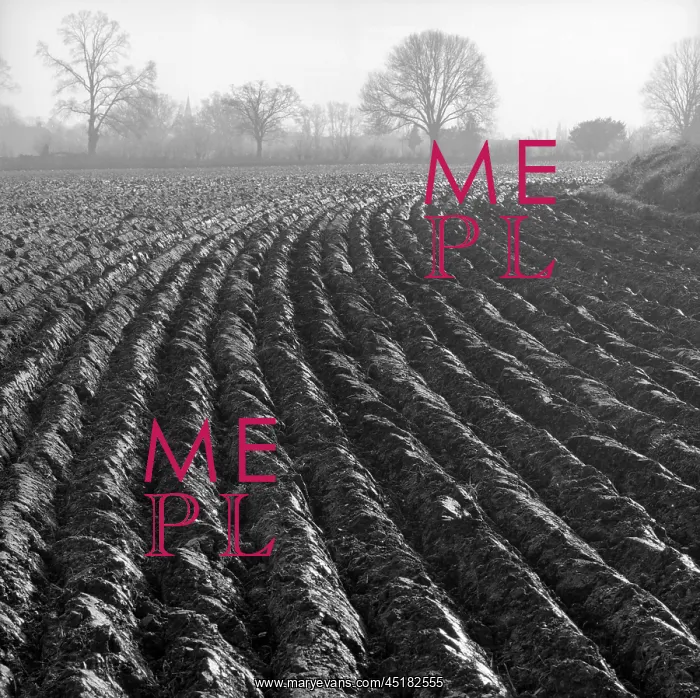 : A Ploughed Field : A Ploughed Field