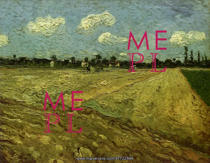  : Ploughed Field, by Van Gogh