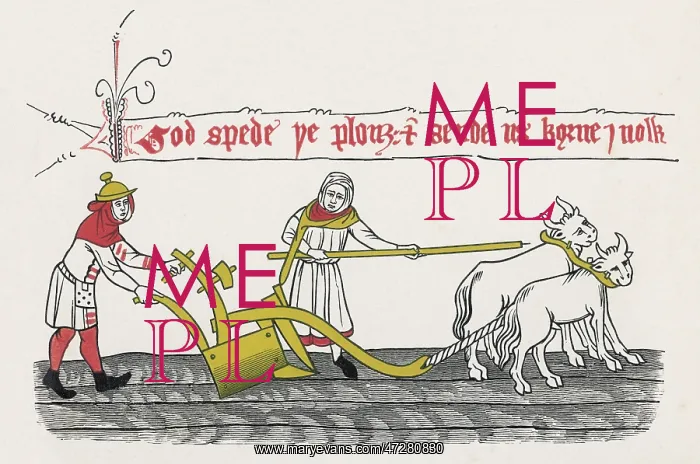: PLOUGHING, 14TH CENTURY : PLOUGHING, 14TH CENTURY