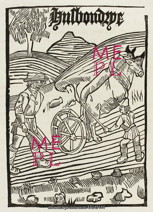 : PLOUGHING, 16TH CENTURY : PLOUGHING, 16TH CENTURY