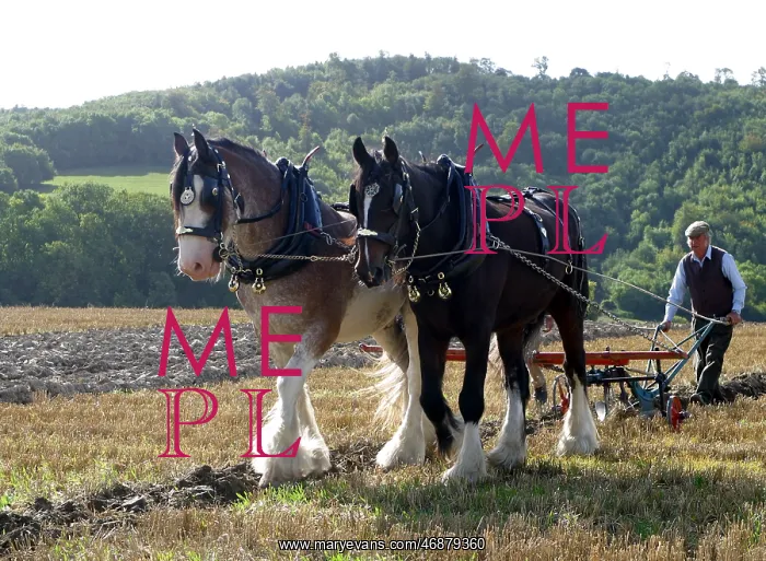  : Ploughing (colour)