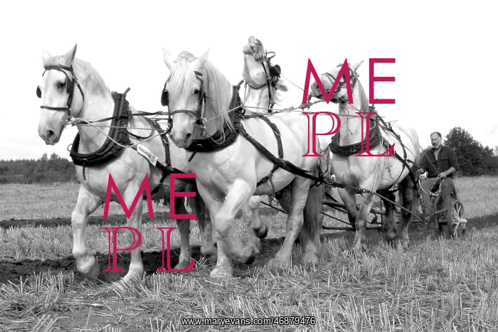  : Ploughing
