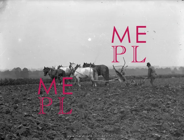 : Ploughing Boswell : Ploughing Boswell