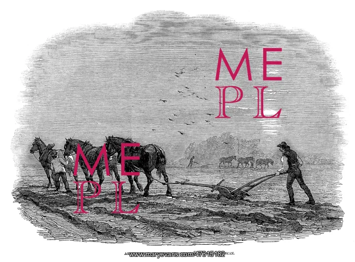 : PLOUGHING, BRITAIN 1846 : PLOUGHING, BRITAIN 1846