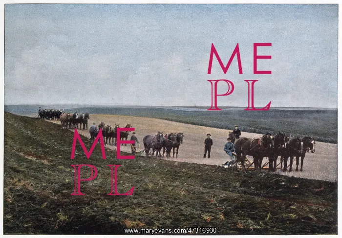 : PLOUGHING, CANADA : PLOUGHING, CANADA