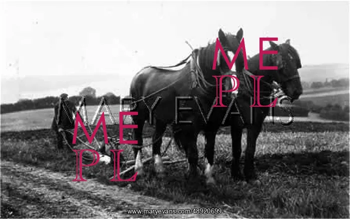 : PLOUGHING COLESHILL 1922 : PLOUGHING COLESHILL 1922