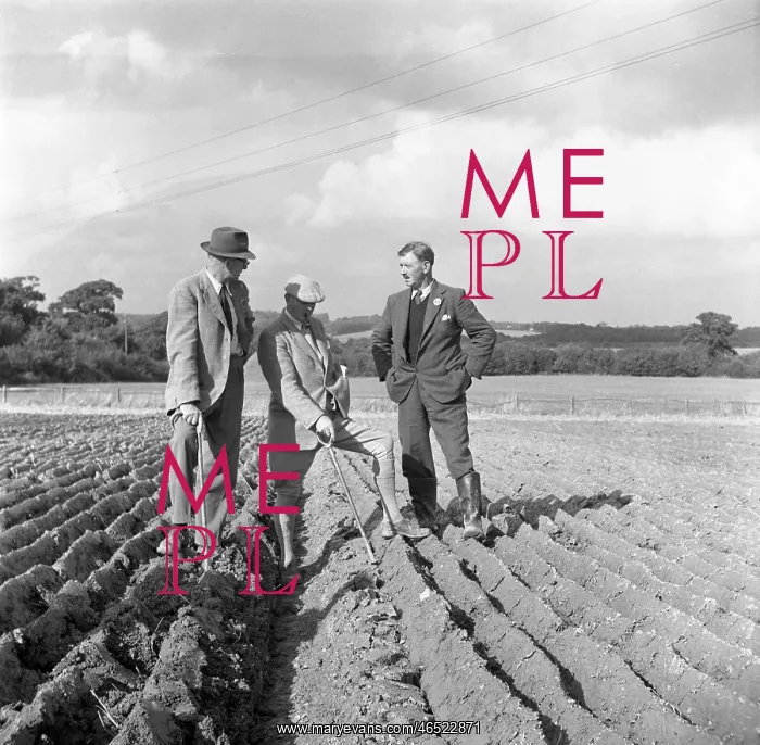  : PLOUGHING CONTEST 1950S