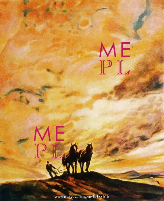 : PLOUGHING IN EVENING : PLOUGHING IN EVENING