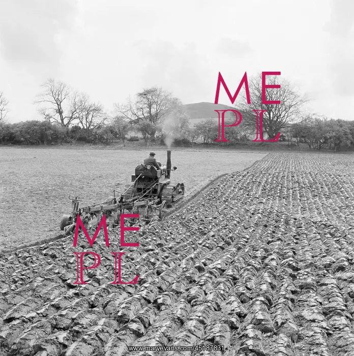 : Ploughing Field : Ploughing Field