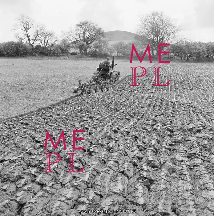 : Ploughing Field : Ploughing Field