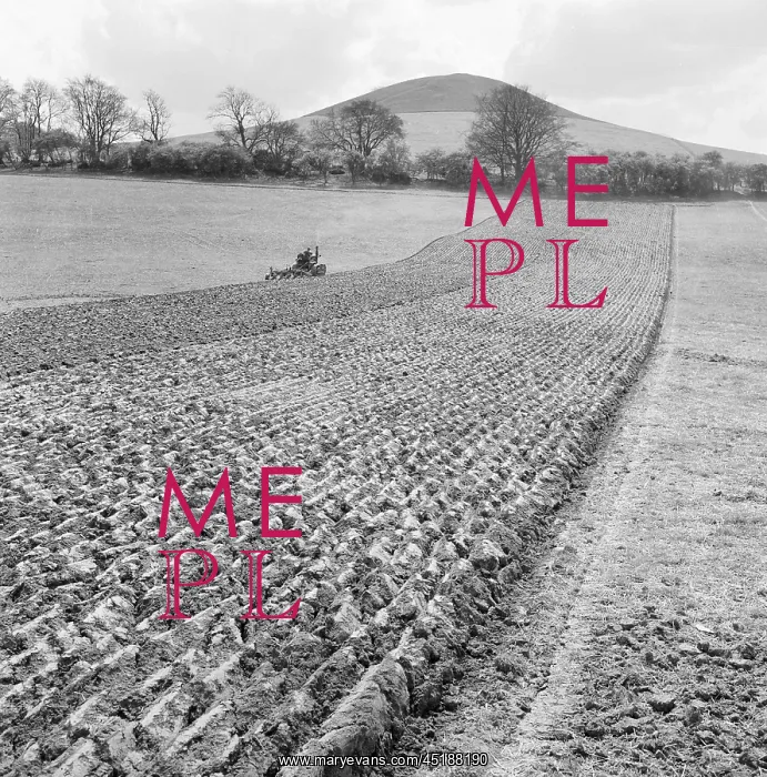 : Ploughing Field : Ploughing Field