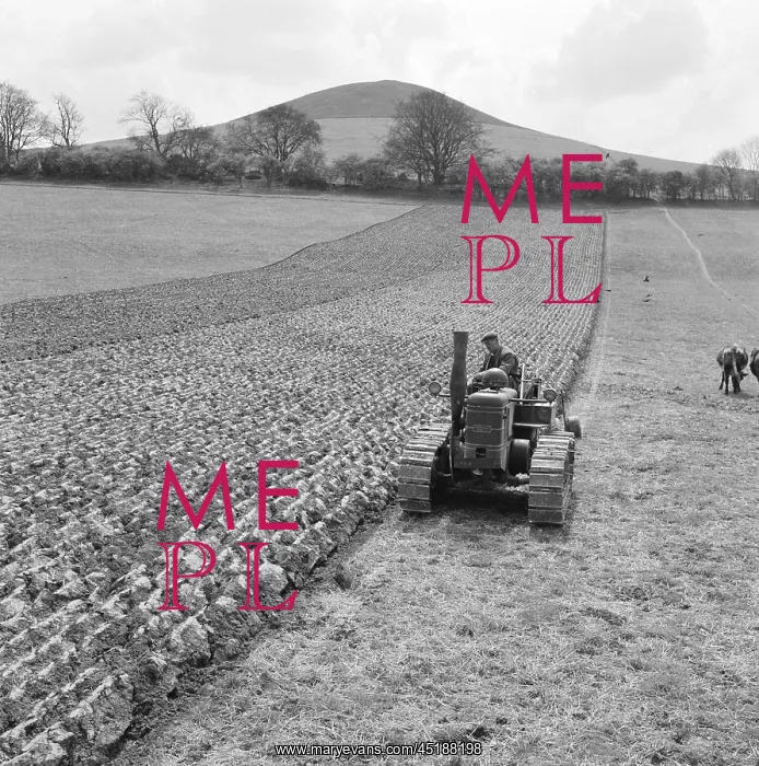 : Ploughing Field : Ploughing Field