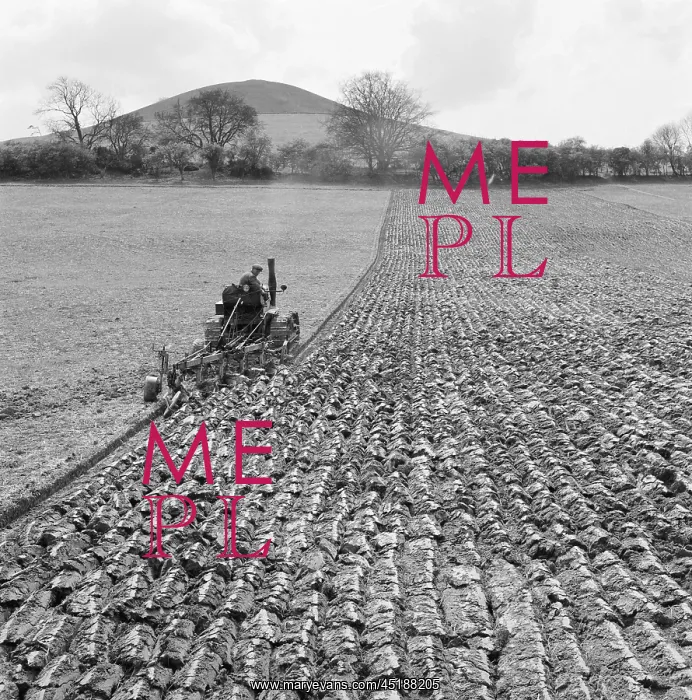 : Ploughing Field : Ploughing Field