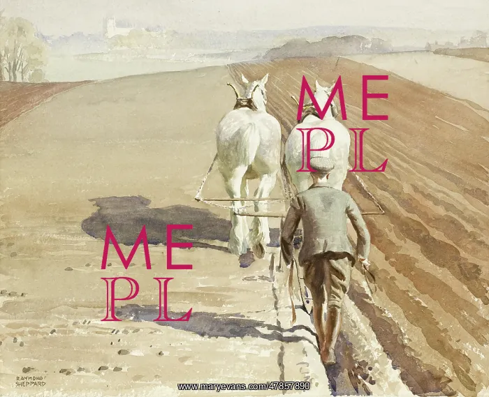 : Ploughing a field : Ploughing a field