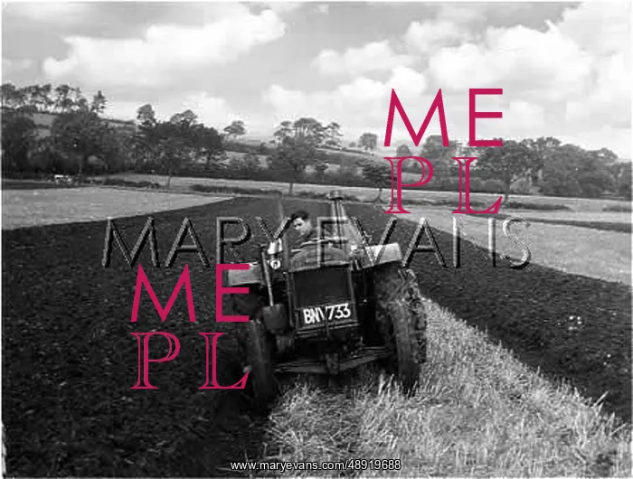 : PLOUGHING A FIELD : PLOUGHING A FIELD