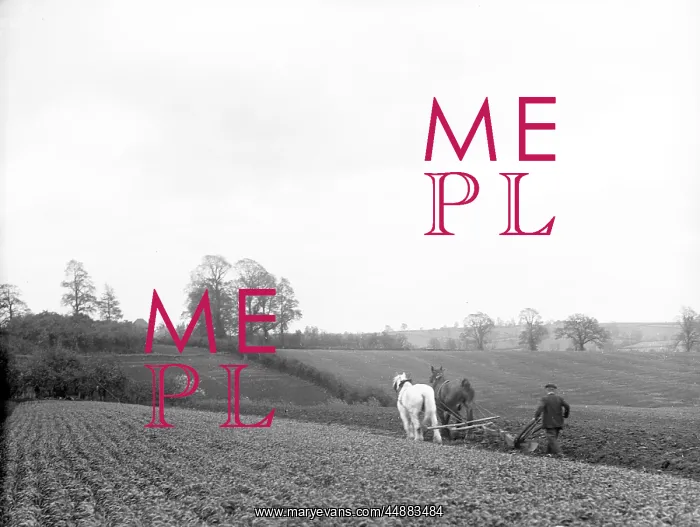 : PLOUGHING FIELDS : PLOUGHING FIELDS