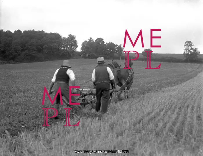 : PLOUGHING FIELDS : PLOUGHING FIELDS
