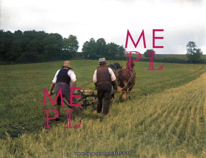 : PLOUGHING FIELDS : PLOUGHING FIELDS