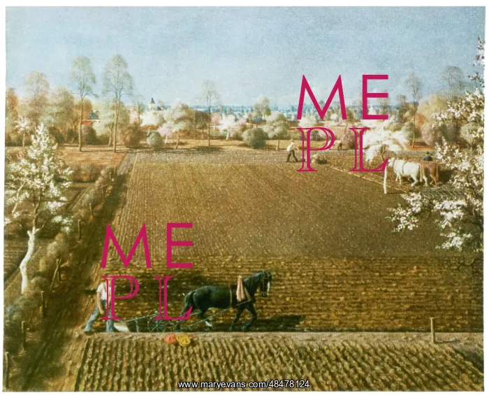 : PLOUGHING IN GERMANY : PLOUGHING IN GERMANY