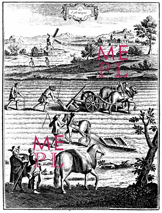 : Ploughing and harrowing with horses and sowing : Ploughing and harrowing with horses and sowing