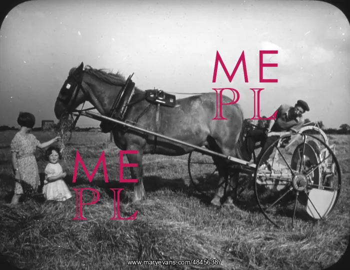 : PLOUGHING WITH HORSE : PLOUGHING WITH HORSE