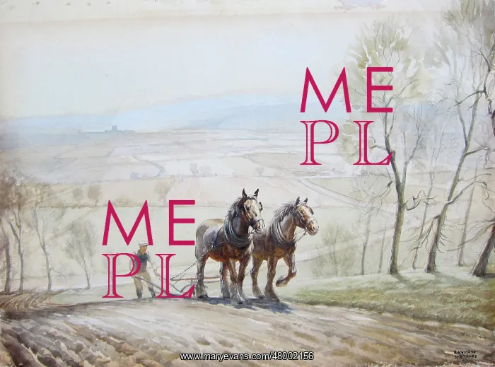 : Ploughing with a horse team : Ploughing with a horse team