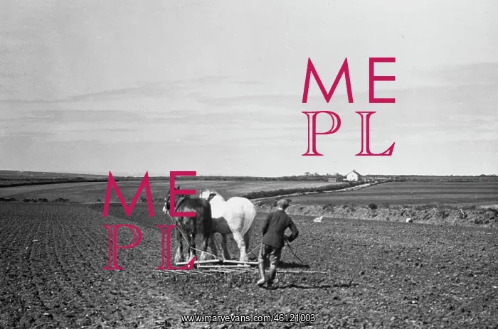: Ploughing with horses : Ploughing with horses