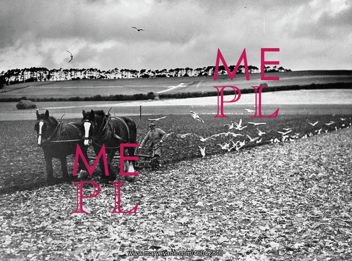  : Ploughing in Kent