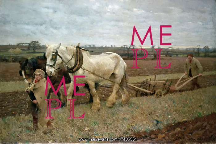: Ploughing ' with man, boy and two horses : Ploughing ' with man, boy and two horses