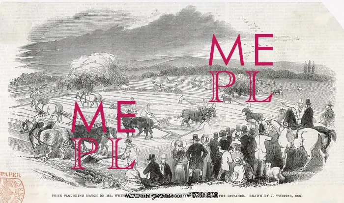 : PLOUGHING MATCH 1843 : PLOUGHING MATCH 1843