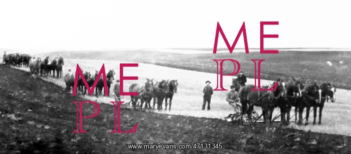  : Ploughing on the Prairies, Canada