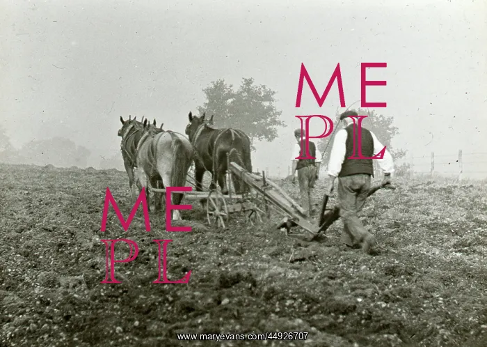 : Ploughing on the Warren : Ploughing on the Warren