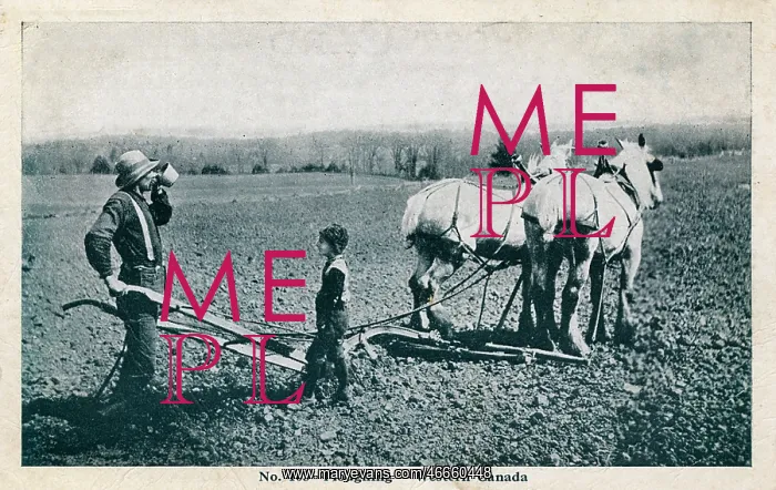  : Ploughing in Western Canada - Farmer and son take a break